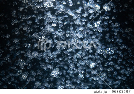 くらげプカプカ　　 96335597