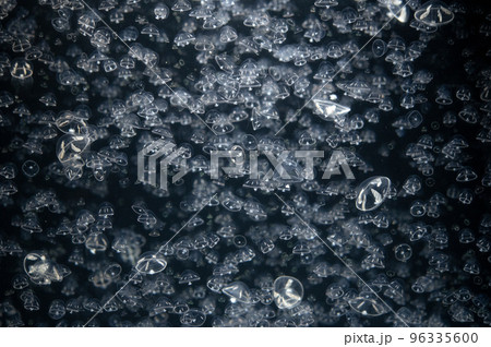 くらげプカプカ　　 96335600