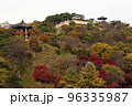 秋 紅葉 城 96335987