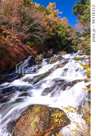 《栃木県》秋の竜頭の滝・紅葉シーズン 《栃木県》秋の竜頭の滝・紅葉シーズン 96336312