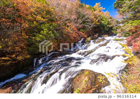 《栃木県》秋の竜頭の滝・紅葉シーズン 96336314