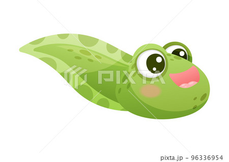 Cute Green Tadpole Cartoon Character Vector Illustration 96336954