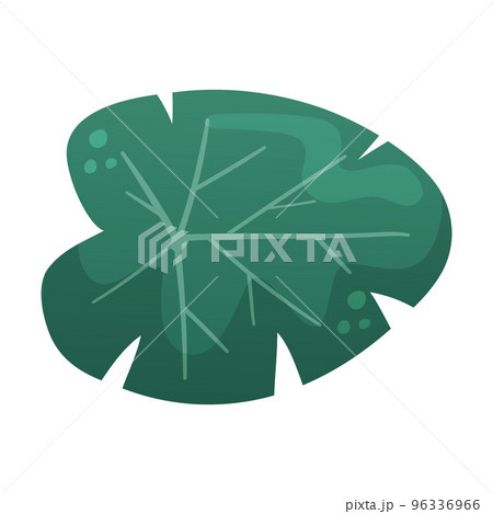 Green Water Lily Pad and Lotus Leaf Vector Illustration Green Water Lily Pad and Lotus Leaf Vector Illustration 96336966