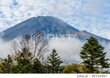 富士山(水ヶ塚) 富士山(水ヶ塚) 96336967
