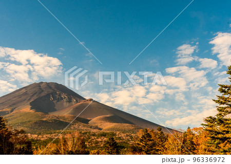 富士山(水ヶ塚) 富士山(水ヶ塚) 96336972
