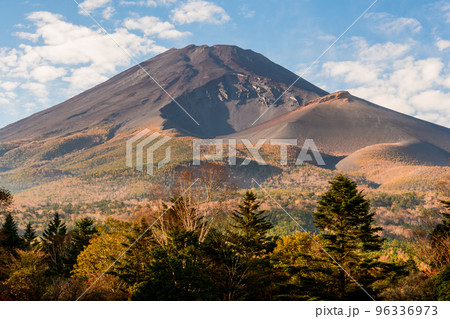 富士山（水ヶ塚） 96336973