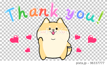 Thank you! 柴犬 96337777