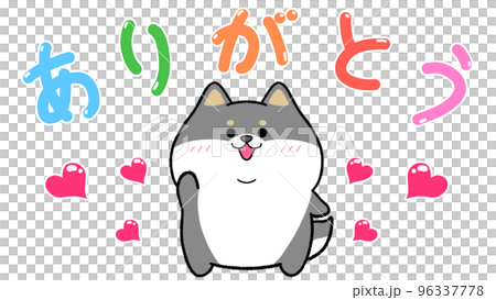 ありがとう　黒柴 96337778