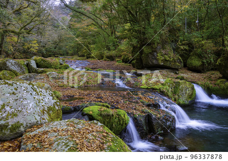 秋の色に染まる菊池渓谷（熊本県菊池市） 96337878