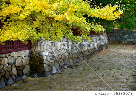 広島県廿日市市　宮島　厳島神社 96338078