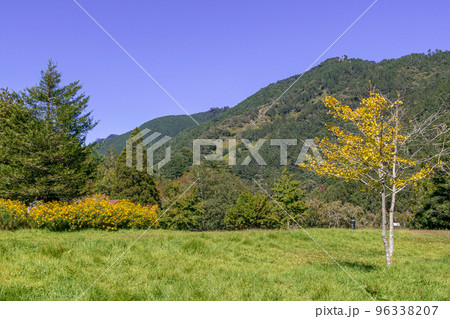 カジュアル 無造作 無頓着 96338207