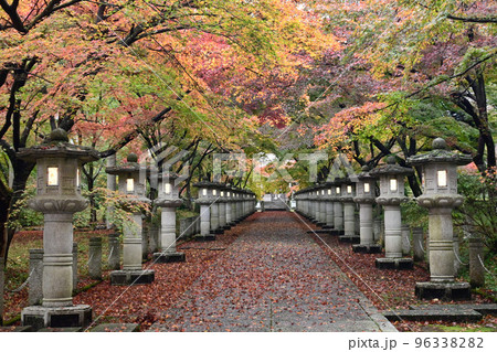 秋の兵庫県丹波市 高山寺の美しい紅葉の参道 秋の兵庫県丹波市 高山寺の美しい紅葉の参道 96338282