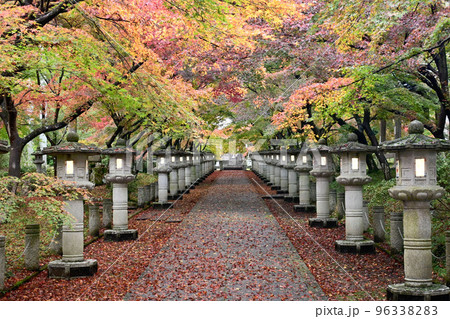 秋の兵庫県丹波市 高山寺の幻想的な紅葉の参道 秋の兵庫県丹波市 高山寺の幻想的な紅葉の参道 96338283