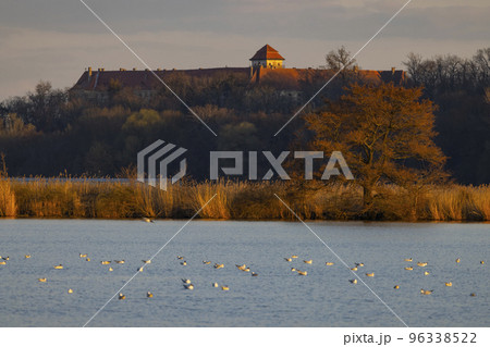 Jaroslavice castle with pond, Znojmo region, Southern Moravia, Czech Republic 96338522