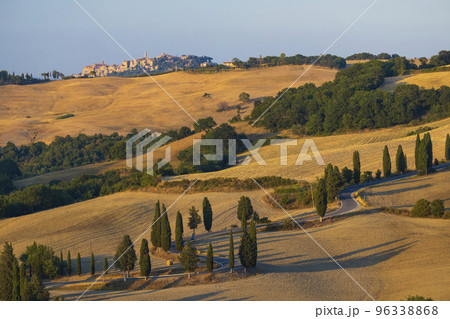 Cipressi di Monticchielo, Typical Tuscan landscape near Montepulciano, Italy Cipressi di Monticchielo, Typical Tuscan landscape near Montepulciano, Italy 96338868