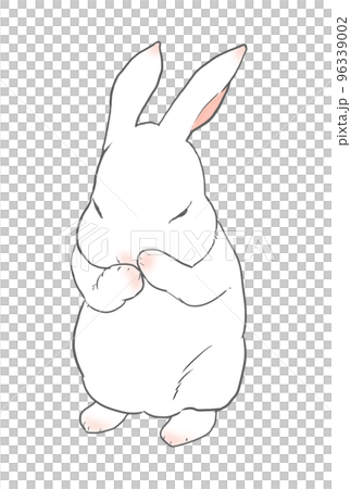 兔子洗臉梳 96339002