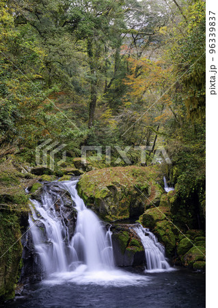 秋の色に染まる菊池渓谷(熊本県菊池市) 秋の色に染まる菊池渓谷(熊本県菊池市) 96339837