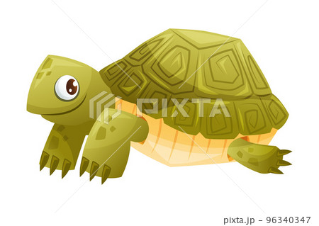 Green Terrestrial Turtle with Shell as Home Pet Animal Vector Illustration 96340347
