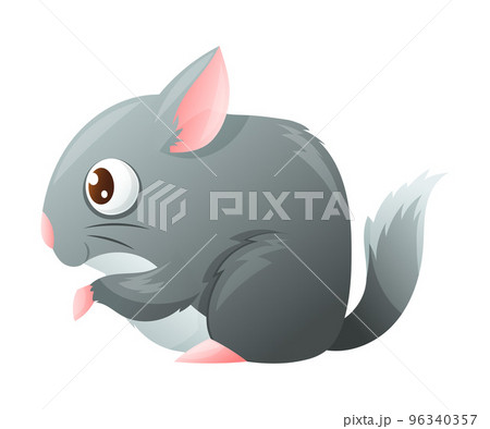 Grey Chinchilla with Cute Snout as Home Pet Animal Vector Illustration 96340357