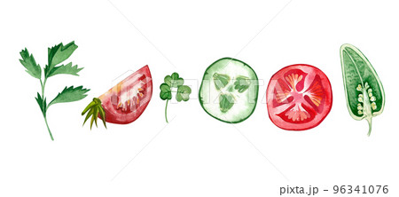 A set of colored vegetables. Slices of cucumber and tomato, parsley, lettuce hand-painted in watercolor on a white background. Suitable for printing on paper, fabric, kitchen design A set of colored vegetables. Slices of cucumber and tomato, parsley, lettuce hand-painted in watercolor on a white background. Suitable for printing on paper, fabric, kitchen design 96341076