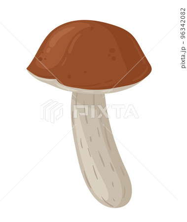 Cartoon birch mushroom. Seasonal organic food, autumn forest plants. Mushroom flat vector illustration. 96342082