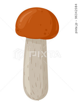 Cartoon aspen mushroom. Seasonal organic food, autumn forest plants. Mushroom flat vector illustration. 96342084
