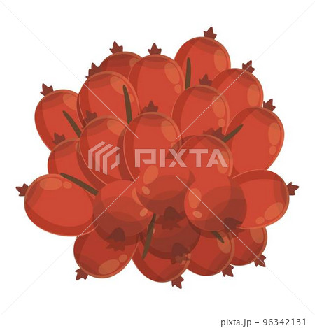 Fruit oil icon cartoon vector. Sesame fuel. Tropical extract 96342131