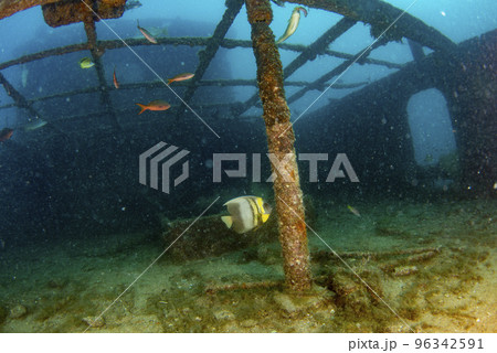 divers exploring a shipwreck underwater divers exploring a shipwreck underwater 96342591