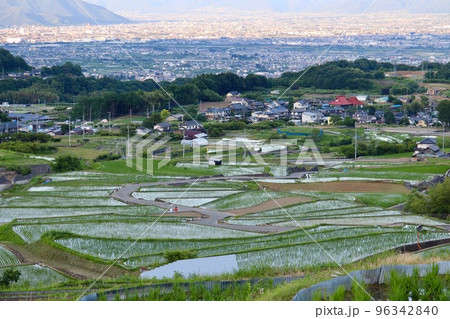 盆地が見渡せる棚田の風景 盆地が見渡せる棚田の風景 96342840