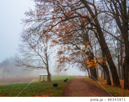 Soft focus. Cold late autumn in the city park. Foggy morning. Alley in misty morning park. Beautiful autumn foggy landscape with trees in a forest. Soft focus. Cold late autumn in the city park. Foggy morning. Alley in misty morning park. Beautiful autumn foggy landscape with trees in a forest. 96343971