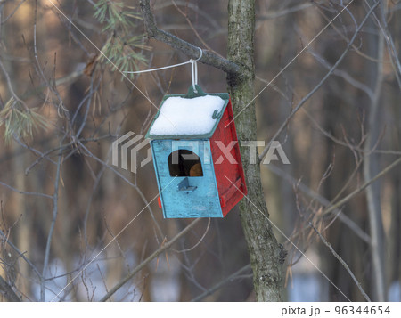 Wooden birdhouse on a pine tree. Autumn forest. 96344654
