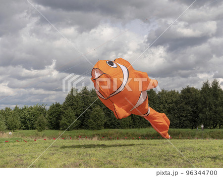 Color kite soaring in the sky Color kite soaring in the sky 96344700