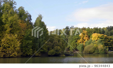Autumn leaves fall in the forest, natural landscape 96344843