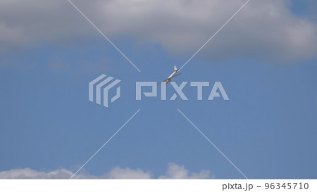 Red small sport plane flying in the sky pulls on a rope the glider plane Red small sport plane flying in the sky pulls on a rope the glider plane 96345710