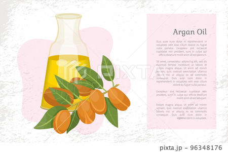 Information About Argan Oil in Bottle, Argania Information About Argan Oil in Bottle, Argania 96348176