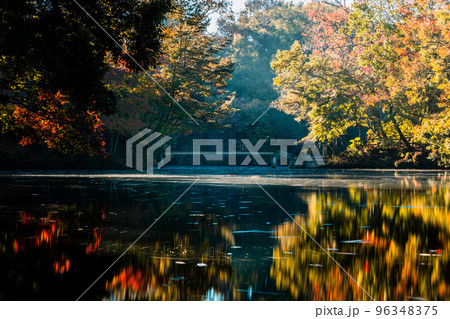 湖と紅葉 湖と紅葉 96348375