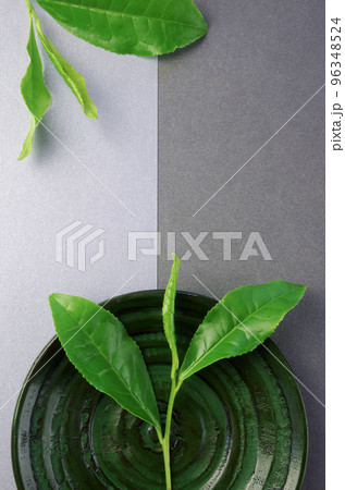 生の茶葉 生の茶葉 96348524