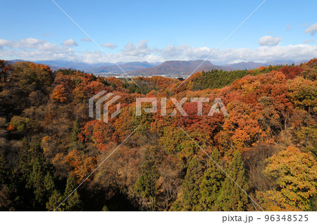 紅葉 紅葉 96348525