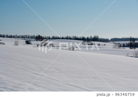 冬晴れの雪の丘陵地帯 96348759