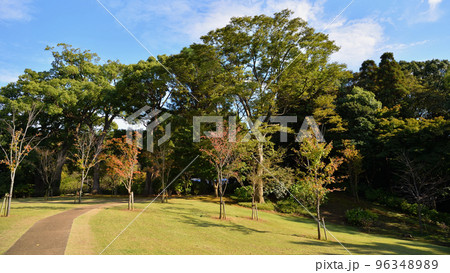 秋の戸定ヶ丘歴史公園 96348989