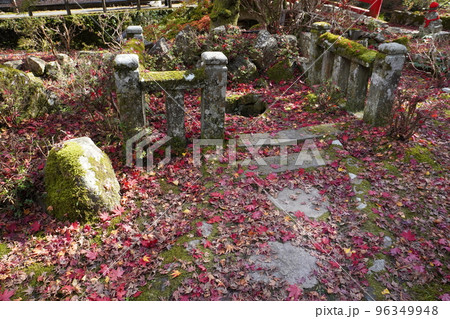 大寧寺の姿見の池 大寧寺の姿見の池 96349948