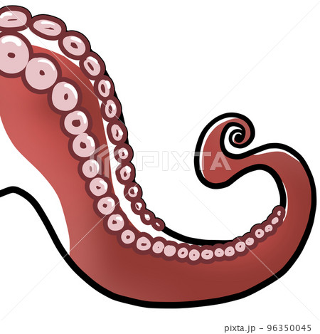 メスのタコの足 メスのタコの足 96350045