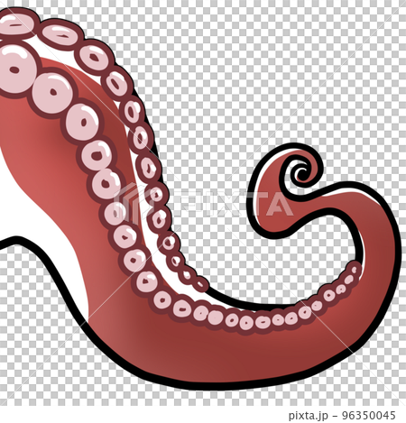 メスのタコの足 メスのタコの足 96350045