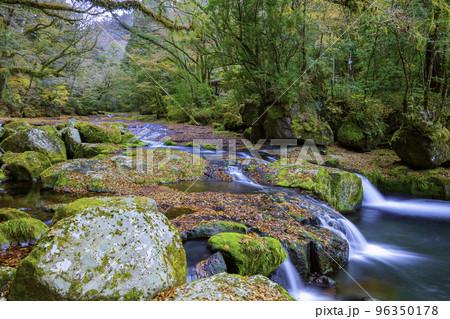 秋の色に染まる菊池渓谷（熊本県菊池市） 96350178