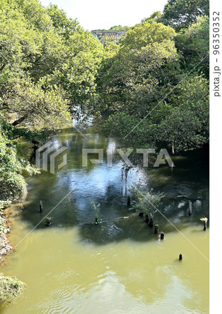 谷田川　一級河川 96350352