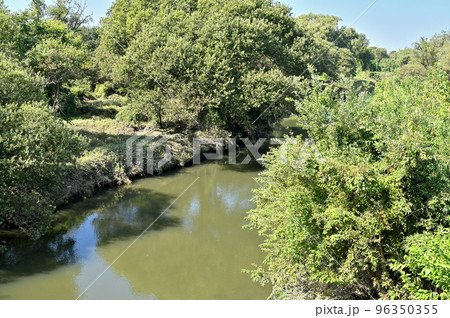 谷田川 一級河川 谷田川 一級河川 96350355