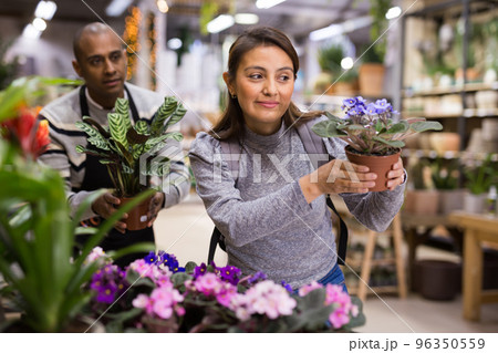 Portrait of woman chooses flowers geranium in shop 96350559