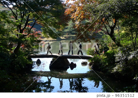 秋の六義園 秋の六義園 96351512