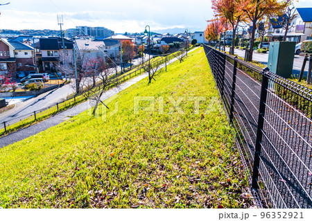 秋の風景　住宅街の遊歩道 96352921