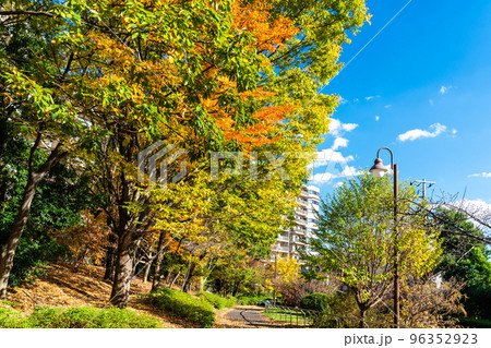 秋の風景 住宅街の遊歩道 秋の風景 住宅街の遊歩道 96352923